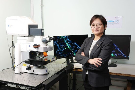 PolyU scholar discovers key mechanism of intraocular pressure regulation suggesting novel treatment approaches for glaucoma