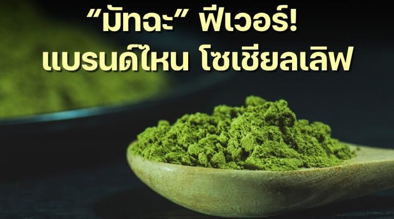 “มัทฉะ” ฟีเวอร์! แบรนด์ไหน โซเชียลเลิฟ