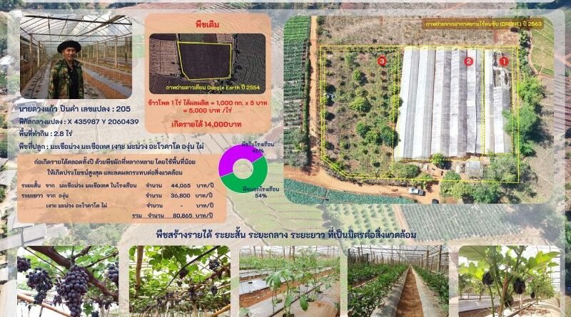 ลดเผา ลดฝุ่น! บ้านแม่วาก นำร่องเกษตรทางเลือกสร้างผลิตผลมูลค่าสูง